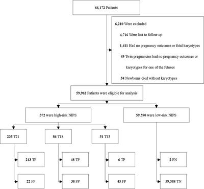 Clinical Efficiency of Non-invasive Prenatal Screening for Common Trisomies in Low-Risk and Twin Pregnancies